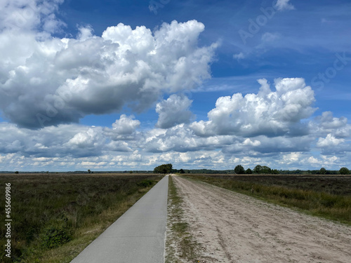 Path through the National Park Dwingelderveld