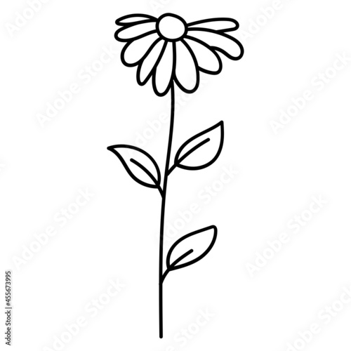 doodle botanical_sunflower line icon