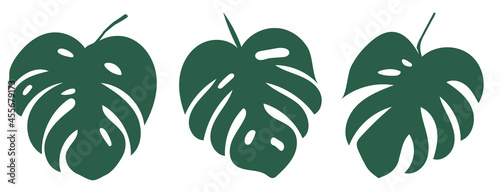 set of monstera leaves. The design of the Illustration of the vector Template of the Monstera Sheet Logo..
