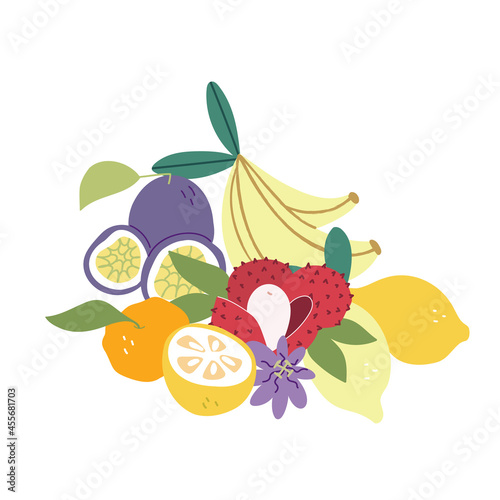 Various exotic fruits. Tropical organic products. Fructorianism. Cartoon style. Vector colorful illustration on a white isolated background. Juicy passion fruit  ripe bananas and lychees.