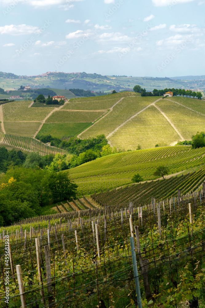 Landscape of Langhe, Piedmont, Italy near Dogliani at May
