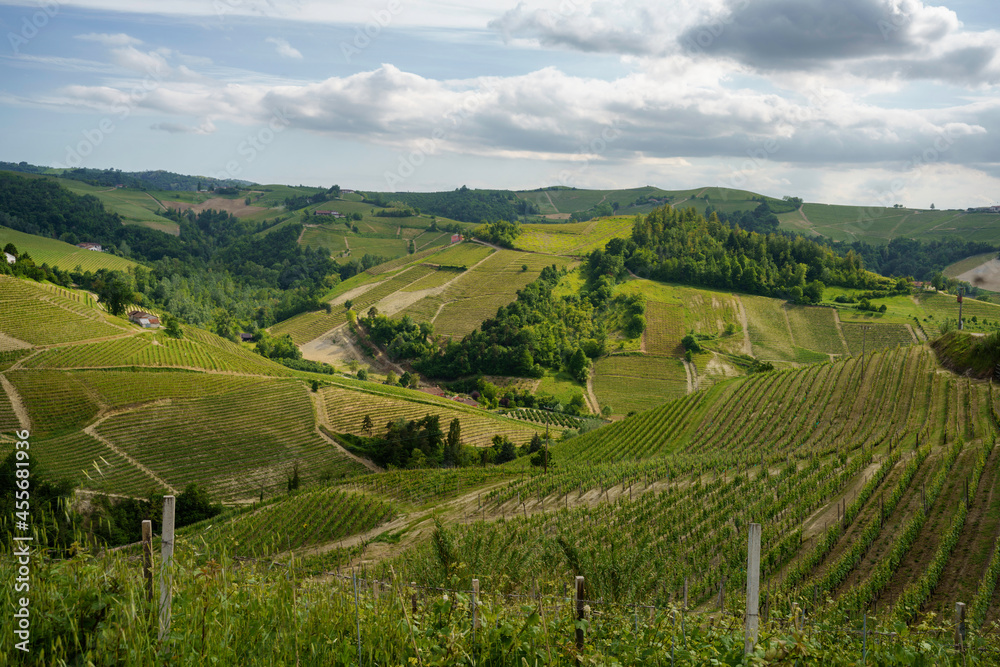 Landscape of Langhe, Piedmont, Italy near Diano at May