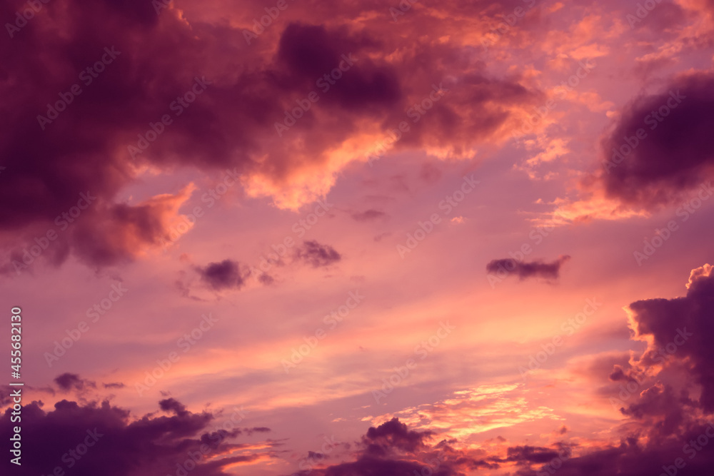 Scenic pink sky landscape cloud like airplane.