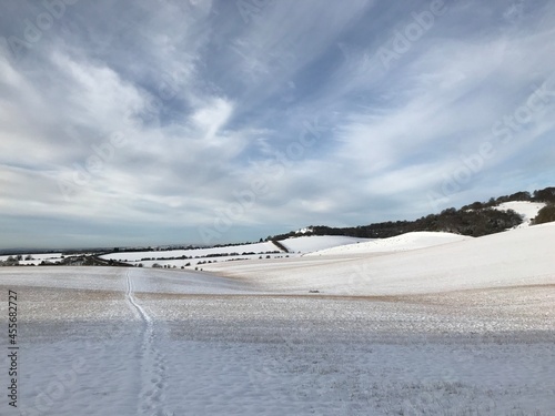 Winter Chiltern Landscape