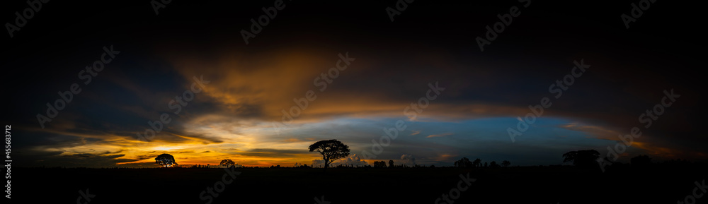 Panorama silhouette tree in asia with sunset.Tree silhouetted against a setting sun.Dark tree on open field dramatic sunrise.Typical asian sunset with dark background  in Thailand.