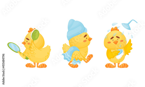 Little Yellow Chick Washing in Shower and Brushing Its Feathers Vector Set