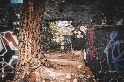 Mauer mit Grafit die von der Natur erobert wird 