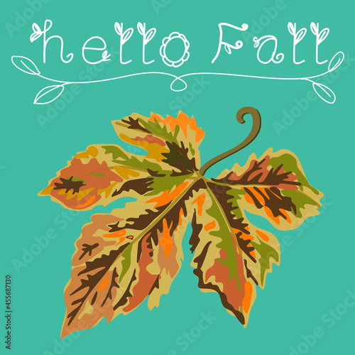Maple leaf in fall and autumn season isolated colourful  hand painted in painting style vector art on green background card, with wording hello fall
