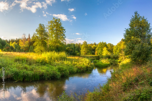 Obraz na płótnie Autumn scenery of river in the forest. Bright light from sunset on the river. Yellow grass on river banks. w salonie