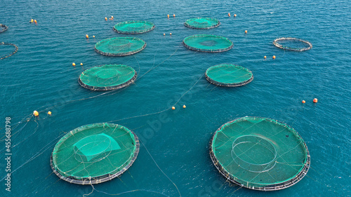 Aerial drone photo of latest technology auto feeding fish farming - breeding unit of sea bass and sea bream in huge round cages located in calm Mediterranean sea