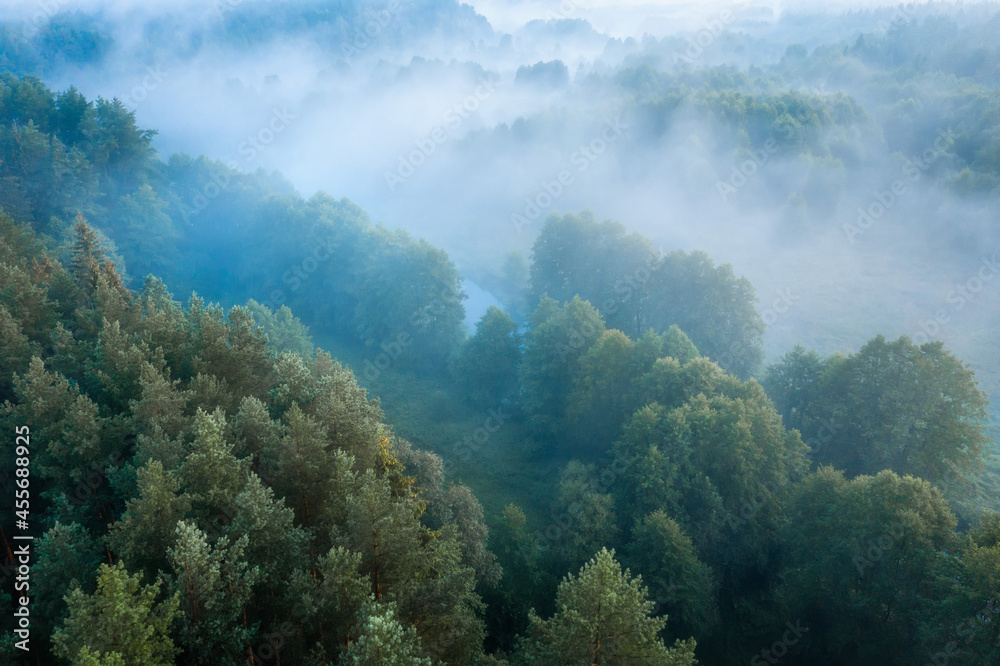 Aerial view of a misty woodland. Landscape of nature. Early cloudy morning in the woodland. Narrow river among forest.
