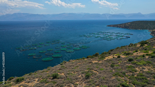 Aerial drone photo of latest technology auto feeding fish farming - breeding unit of sea bass and sea bream in huge round cages located in calm Mediterranean sea