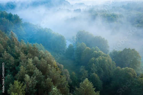 Aerial view of a misty woodland. Landscape of nature. Early cloudy morning in the woodland. Narrow river among forest.