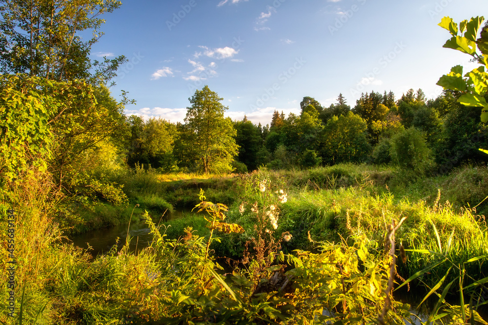 Evening landscape of nature. Narrow river overgrown with grass. Sunset above forest. Sunbeams from evening sun.Walk near river.