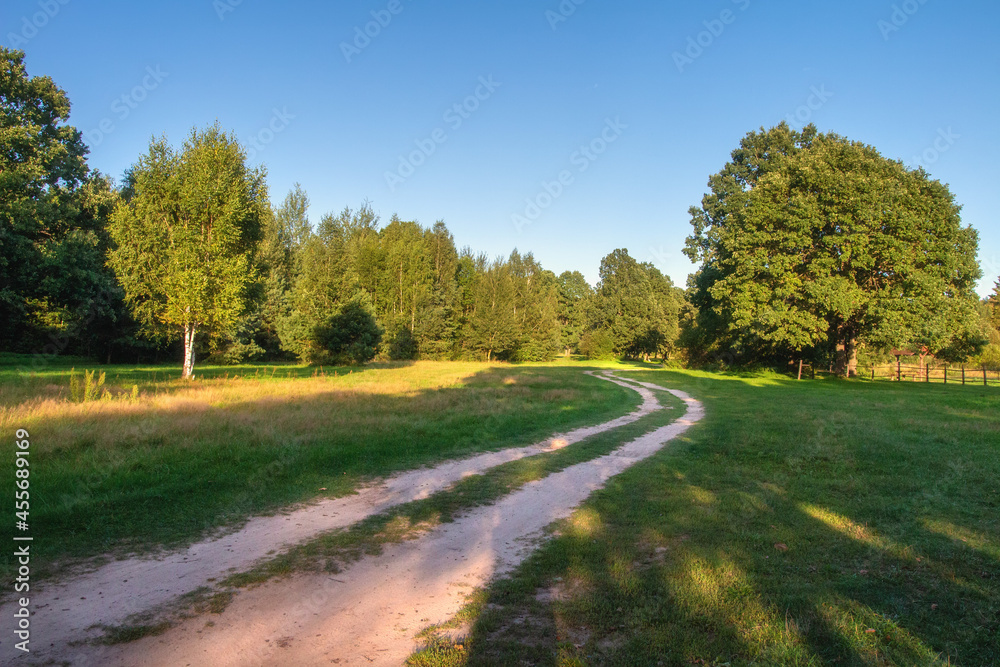 Scenery of rural trail on meadow. Landscape of evening sunset. Travelling in autumn park.