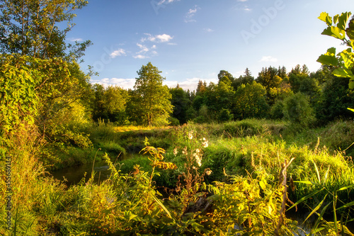 Obraz na płótnie Evening landscape of nature. Narrow river overgrown with grass. Sunset above forest. Sunbeams from evening sun.Walk near river. w salonie