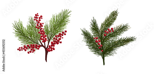 Spruce branches with berries. vector illustration. Winter branches for decorating postcards, ornaments. Red winter berries, fir branches.