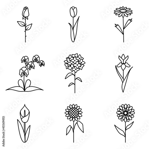 Flower icons for flower shop or tattoo. Rose, tulip, chamomile, orchid, hydrangea, iris, calla, sunflower, chrysanthemum.