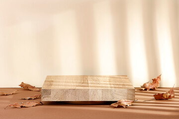 A minimalist autumn landing on a brown table and shadows on the wall 