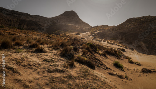 Landscape of sand dune in Cabo de Gata Nature Park  Spain