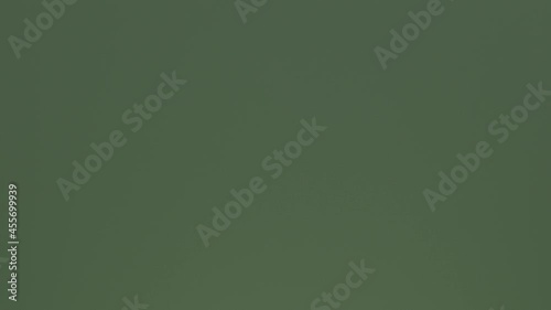 brush on green screen, v-log, 8 bit, 4:2:0, 4k, 3840x2160, 25 fps, h.264, panasonic lumix v log, 4k 100 mbps, without correction, chromakey  photo