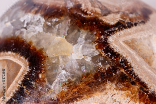 Macro mineral stone Simbirzit and Septaria on white background photo