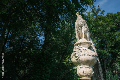 Statue of a white peacock, Staverden Castle, Ermelo, Gelderland Province, The Netherlands photo