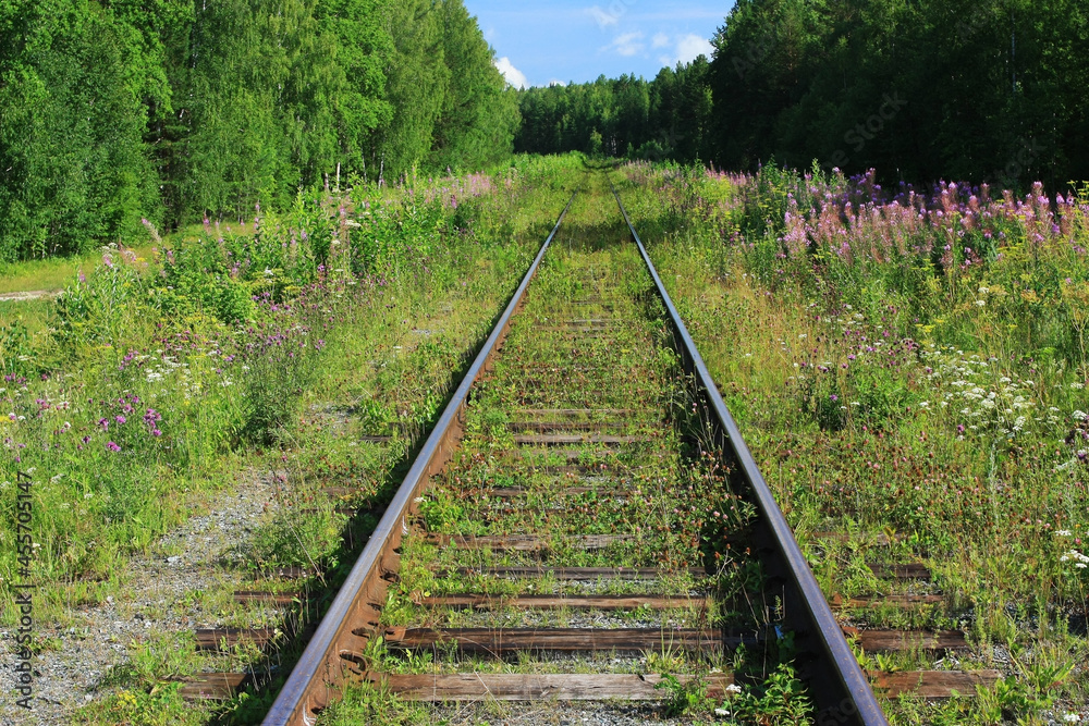 Fototapeta premium Old abandoned railway in the forest