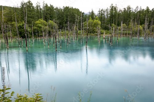 Blue pond reflecting in Hokkaido Japan 