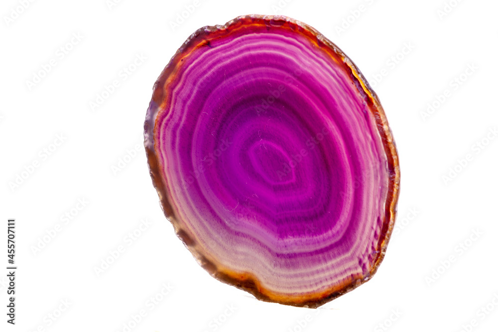 Macro mineral stone Purple Agate breed a white background Macro mineral stone Purple Agate breed a white background
