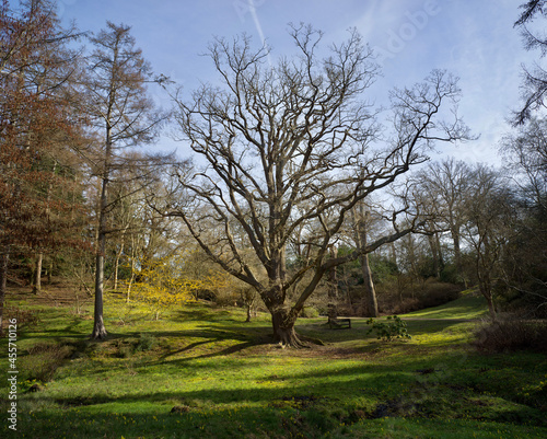 spring in the park