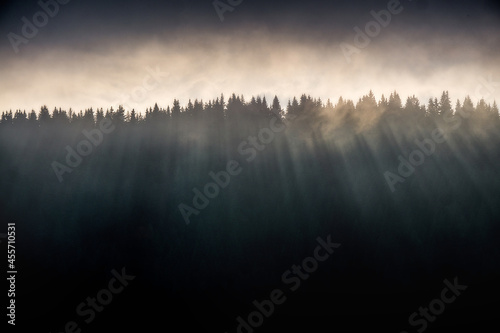 Sunset over forest in Carpathians
