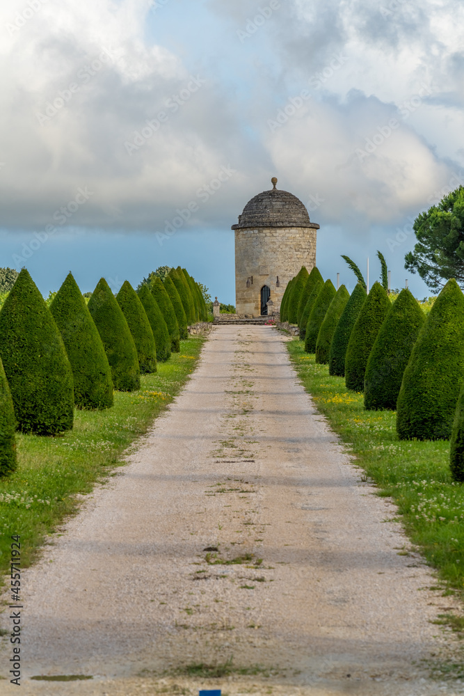 Vinyards close to the old town of Saint-Emilion, Gironde, Nouvelle Aquitaine, France