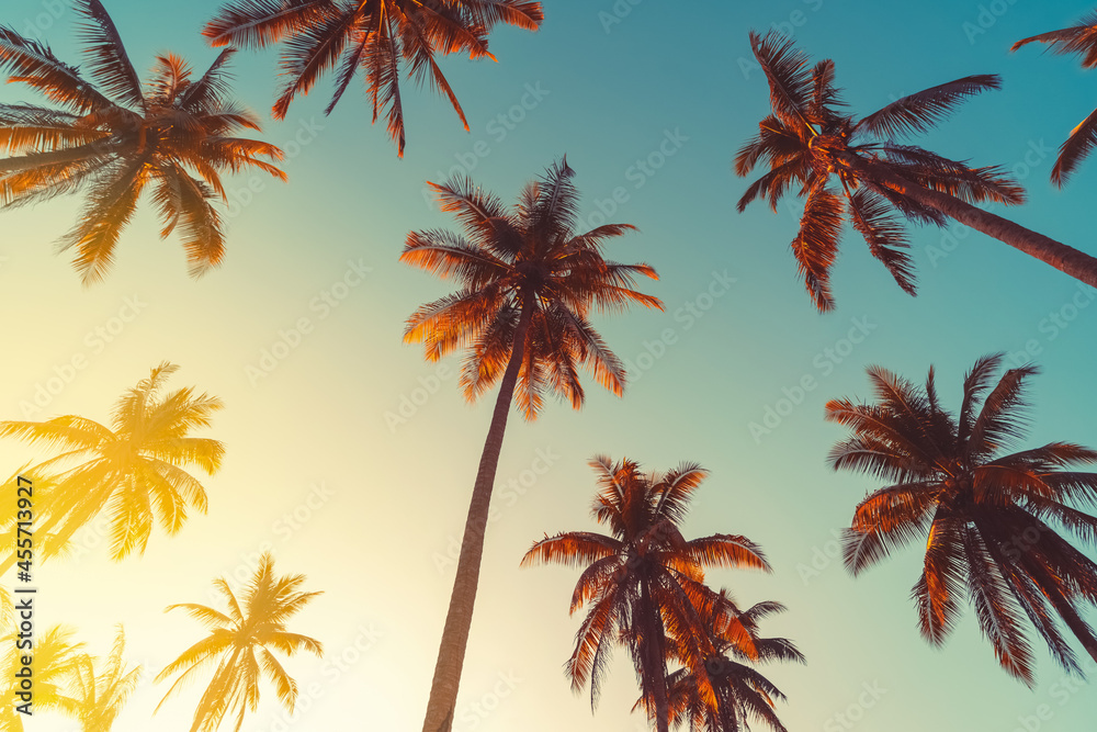 Fototapeta premium Tropical palm tree with sun light on sunset sky and cloud abstract background.