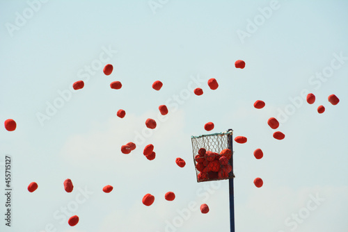 玉入れ競争の玉とかご