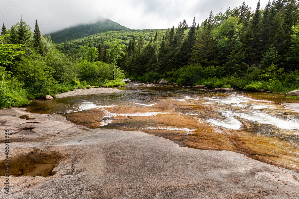 Water of Nesowadnehunk stream flows over the rocks of Ledge Falls in Baxter State Park, Maine
Water of Nesowadnehunk stream flows over the rocks of Ledge Falls in Baxter State Park, Maine