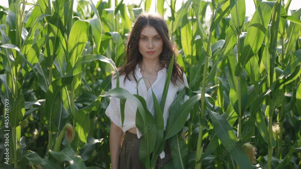 Adorable woman in casual clothes posing among corn field Adorable woman in casual clothes posing among corn field
