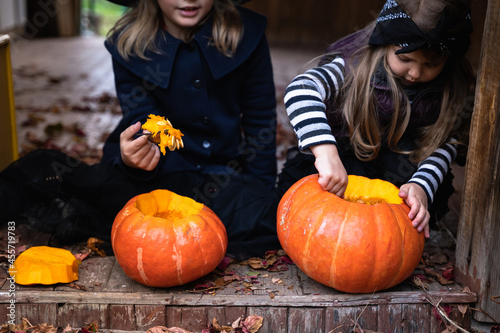 Little girls make jack-o-lantern from big pumpkins for celebratiion of halloween holiday.Witch costume, hat, coat. Cut with knife,take out pulp with seeds.Outdoors activity, backyard.Children's party photo