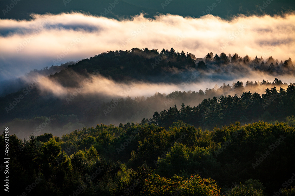 Magical mountain forest in the mist