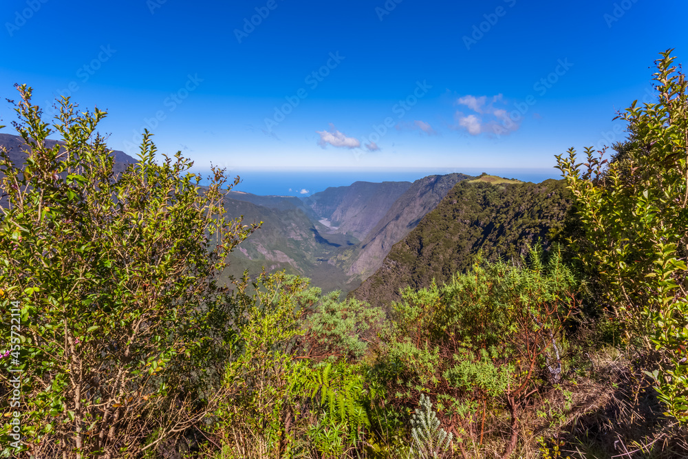 Rivière des Remparts, route du volcan, île de la Réunion 