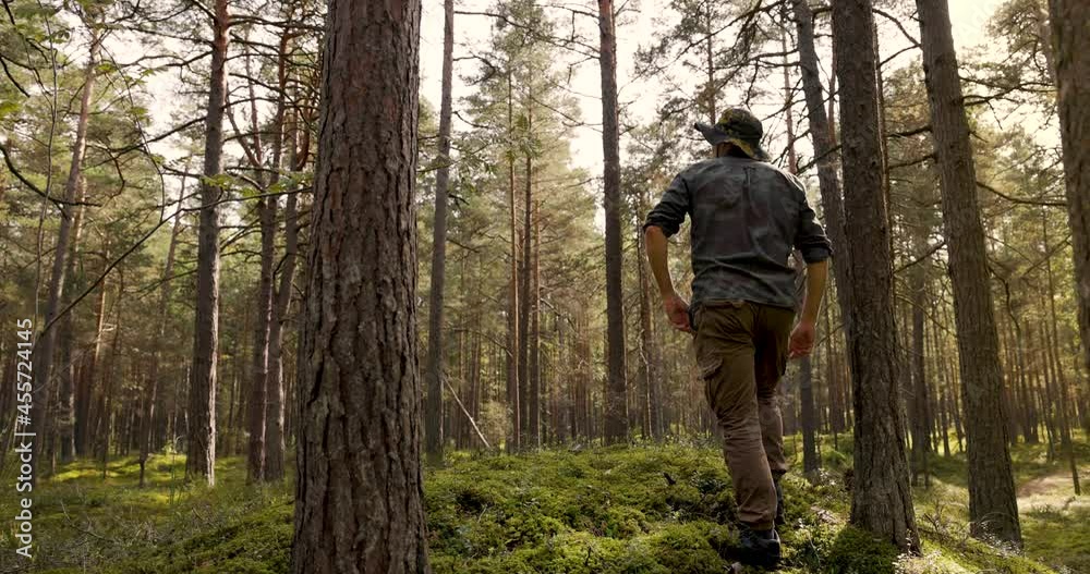 forest development and sustainable forestry. ranger monitoring the woodland ecosystem forest development and sustainable forestry. ranger monitoring the woodland ecosystem