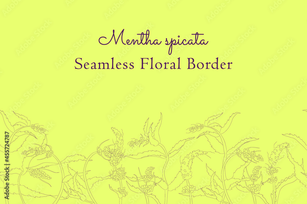 Seamless Border Made with Hand Drawn Spearmint