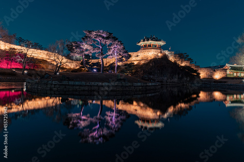 reflection in water