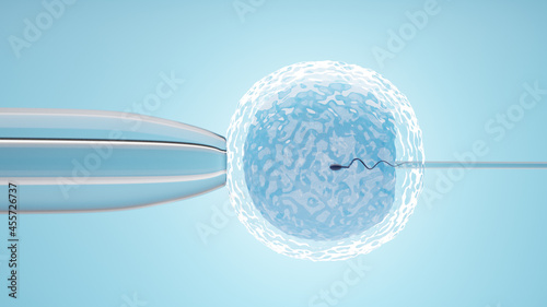 Ovum with needle for artificial insemination or in vitro fertilization. 3D Illustration Rendering. photo