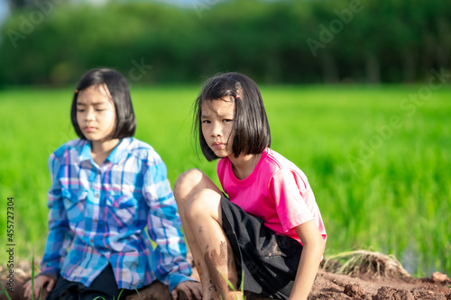 Kids playing in organic rice field of rural or countryside