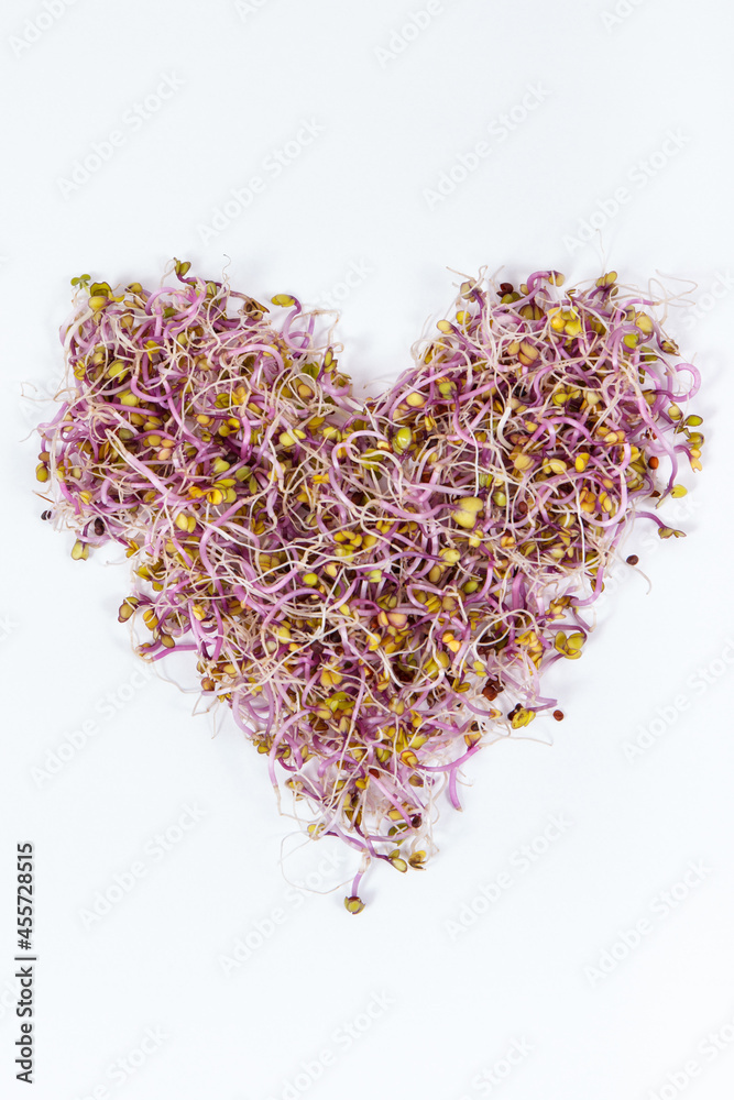Obraz premium Nutritious kale sprouts as source vitamins and minerals. Healthy nutrition. White background