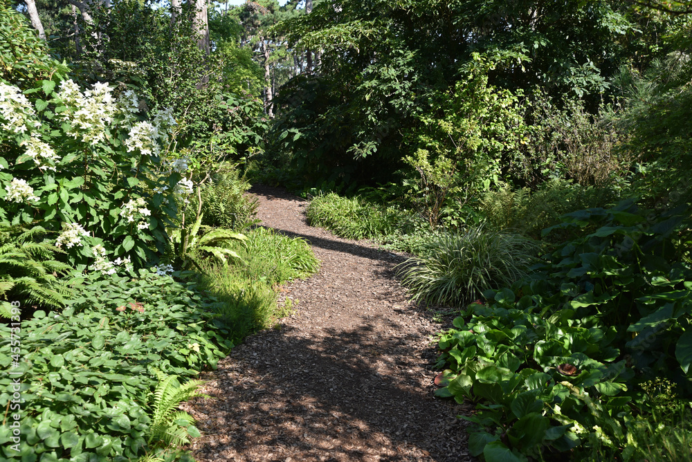 Obraz premium Sentier au jardin