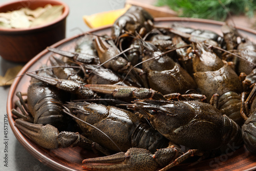 Fresh raw crayfishes on grey table, closeup photo