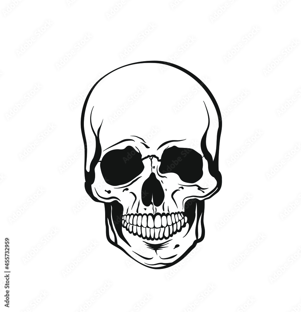 Vector black and white illustration of a human skull with a lower jaw in ink hand drawn style.