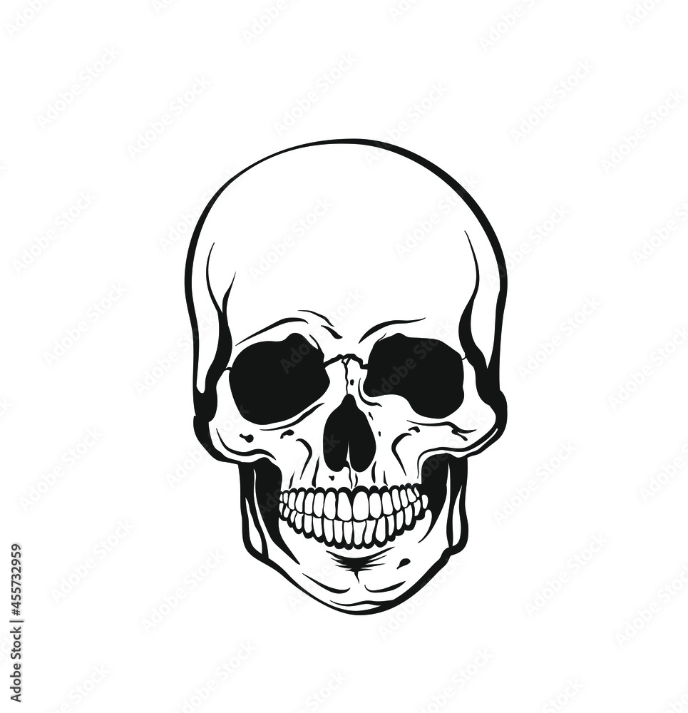 Vector black and white illustration of a human skull with a lower jaw in ink hand drawn style. Vector black and white illustration of a human skull with a lower jaw in ink hand drawn style.